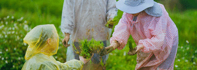 「共創光明頂」USR計畫【永續社區與三創實踐】跨域課程首次與淡大「農情食課」USR計畫 跨校跨域課程合作圖片